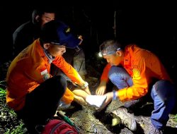 Tim SAR Bantaeng Berhasil Evakuasi Pendaki di Gunung Lompobattang