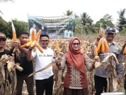 Bupati Indah Ajak Petani Gunakan Pupuk Organik