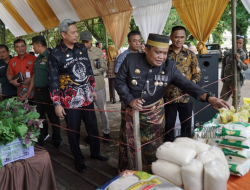 Digelar di Luwu, Rakor Ketahanan Pangan Sulsel Bahas Upaya Strategi Terarah dan Kerjasama