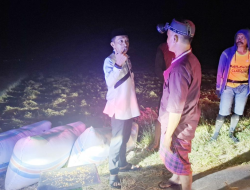 Dini Hari, Bupati Sidrap Pantau Langsung Panen Petani