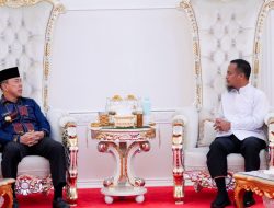 Silaturahmi Hangat Gubernur Sulsel dan Sultra, Bahas Konektivitas Udara dan Laut