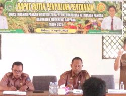 Koordinasi Penyuluh, Dinas TPHPKP Sidrap Mantapkan Langkah Dukung Swasembada Pangan