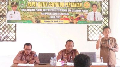 Koordinasi Penyuluh, Dinas TPHPKP Sidrap Mantapkan Langkah Dukung Swasembada Pangan