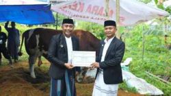Presiden Prabowo Salurkan Sapi Kurban 1,5 Ton untuk Warga Bone