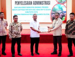 Pemprov Sulsel Terima Bantuan Sapi Kurban Presiden RI Berbobot Lebih dari 1 Ton