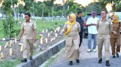 Bupati dan Wakil Bupati Sidrap Pantau Penanaman Cabai, ASN Diajak Manfaatkan Lahan Kosong