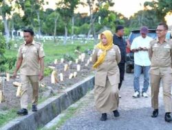 Bupati dan Wakil Bupati Sidrap Pantau Penanaman Cabai, ASN Diajak Manfaatkan Lahan Kosong