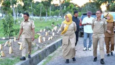 Bupati dan Wakil Bupati Sidrap Pantau Penanaman Cabai, ASN Diajak Manfaatkan Lahan Kosong