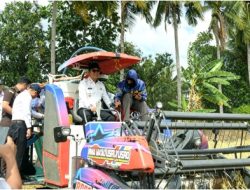 Musim Kemarau Tak Jadi Hambatan, Padi PM-AAS di Lajaroko Panen 10 Ton per Hektare